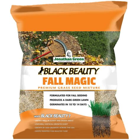 Fall Lawn Care Made Easy with Jonathan Green Fall Magic Grass Seed